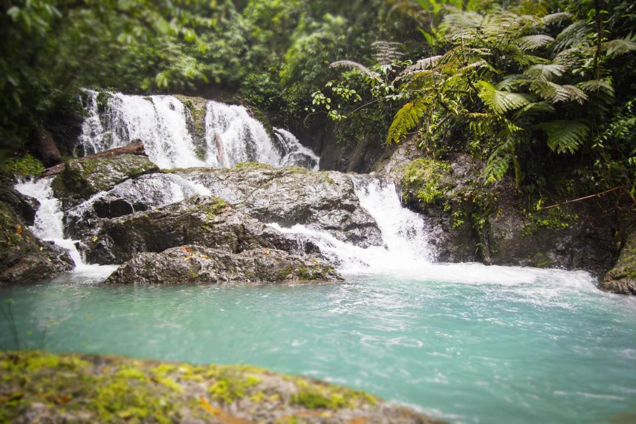 Naguala Jungle Lodge Drakes Bay Εξωτερικό φωτογραφία