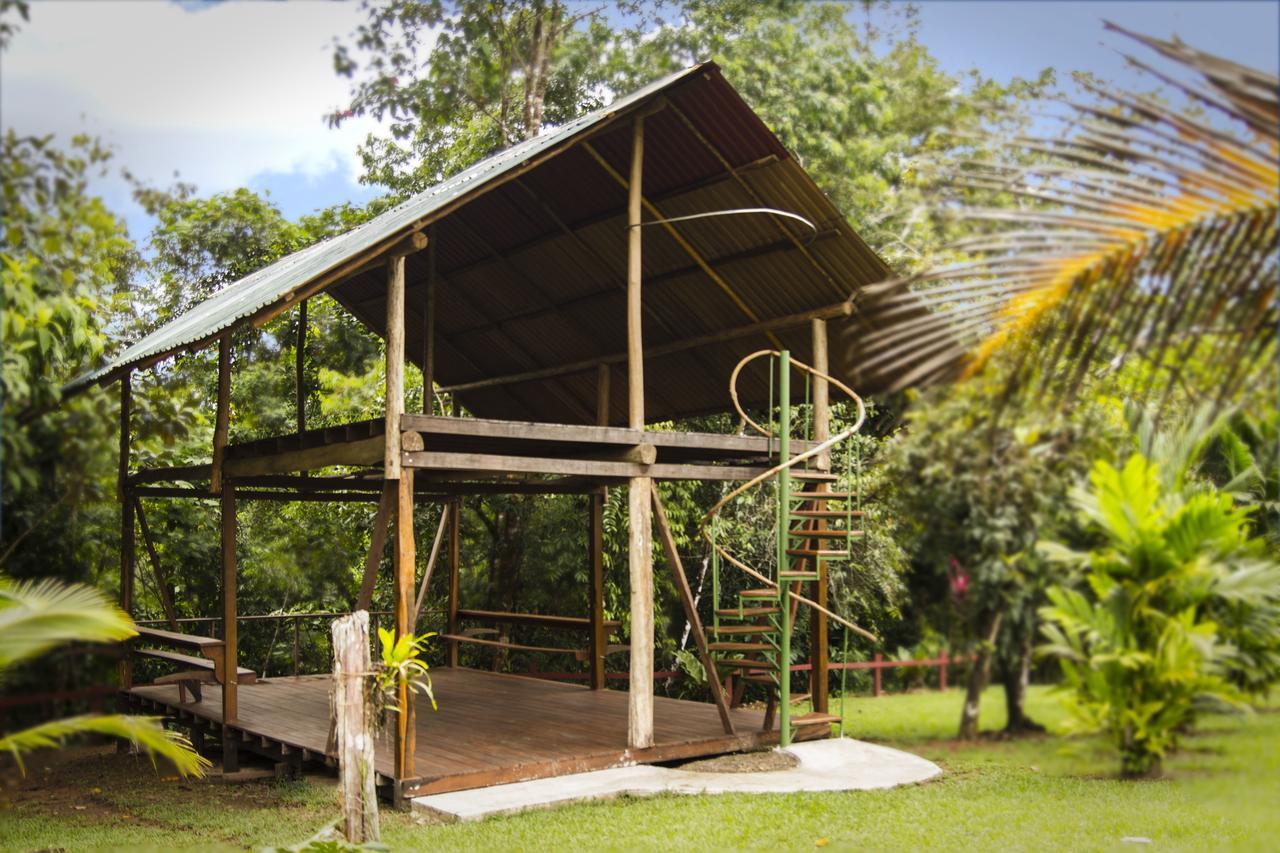 Naguala Jungle Lodge Drakes Bay Εξωτερικό φωτογραφία