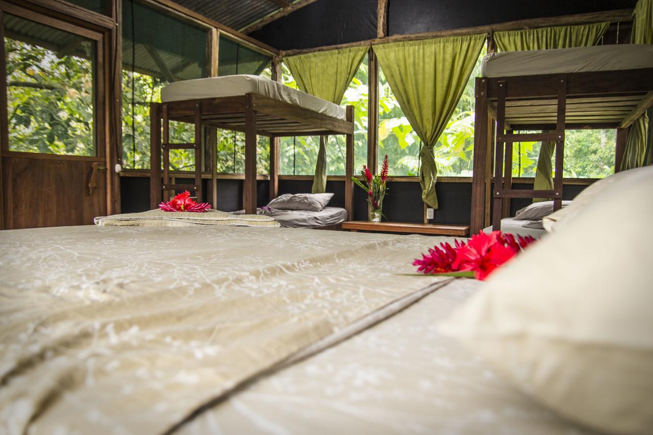 Naguala Jungle Lodge Drakes Bay Εξωτερικό φωτογραφία